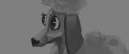 dtp-projekt-opakowań-grafika-komputerowa-projektowanie-graficzne-design-marta-kondrusik